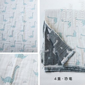 ԗDǃVbv K[[n 4d 6d d n Rbg 70×100cm  { ʂsv B암D n i _炩 ɗD  nhCh   L g 􉽊w 