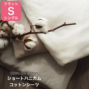 V[gnjJD tbgV[c VOTCY 140×250cm B암D { Y B^I z z  TT _炩 ɗD u₩   ok @ok 