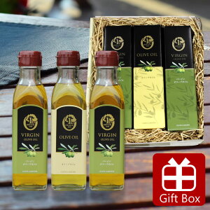 yΕ2025 Ε Mtgj j   Cj zyI[uIC j j zI[uMtgEOG-016y I[uIC I[u I[uICMtg j hV̓