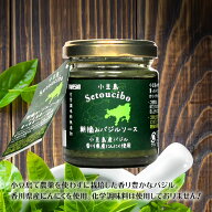 【9/19★10％OFFクーポン★5％OFFクーポン★3％OFFクーポン★】朝摘みバジルソース　80g〜小豆島産バジル…