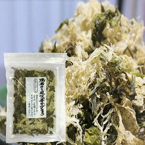 y11/24300E5OFFN[|3OFFN[|P2{z Ċ̂蕗 肩ԂƂ@35gy  ߂ tR_C AMj@Ƃ덩z@ĊC H@ z