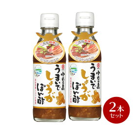 【スーパーSALE対象★店内全品P2倍★クーポンあります♪】小豆島　うまいでしょうが ぽん酢 200ml×2本 【 ぽんず ポン酢 生姜 しょうが ショウガ タケサン 瀬戸内 高知県産 かつおのたたき 】