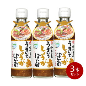 【お買い物マラソン対象★エントリーでP最大47倍★】小豆島　うまいでしょうが ぽん酢 200ml×3本 【 ぽんず ポン酢 生姜 しょうが ショウガ タケサン 瀬戸内 高知県産 かつおのたたき 】