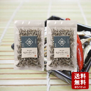 y10/28XSi|Cg2{zrc тq肱 40g ×2 @`bNty Y 肱 ˓CY ϊ Hׂ邢肱 肱̎ϊ   肢肱  JVE