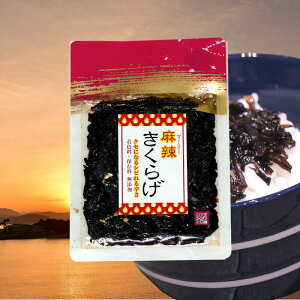 y11/1(y)聚XSi|Cg11{×_tf[z݂̋@煂炰 70g@y  ώ cHi 炰 q  炱 ^R v`v`   q 