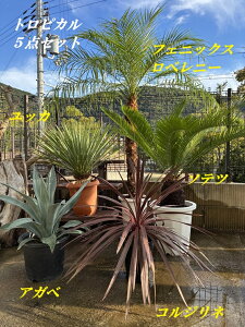 gsJ5_Zbgi1012j@bJ@Xg[^@9AtFjbNXxj[@9@AKx@9@@\ec@10@RWl@6@hCK[f@ϊϗtA@bNK[