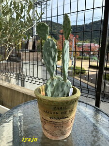 E`T{e @IveBA@ۖ~@t@K[fjO@IVȊϗtA@hCK[f@gsJ@JtHjA@nCA