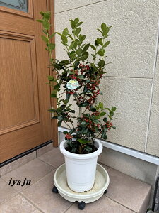 NX}Xz[[@8@mqCM@_ NX}Xc[@Mtg@