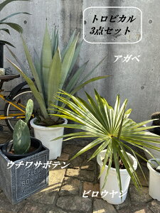 gsJ3_Zbgi1126j@AKx@10ArEV@8@E`T{e@7@@hCK[f@ϊϗtA@bNK[f@ JtHjAX^C@nCA@Mtg