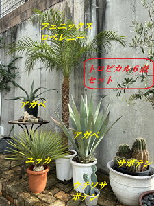 gsJ6_Zbgi1201j@tFjbNXxj[@10@AKx@10@AKx@9@E`T{e@4@bJXg[^@9@T{eGLmvVX@12@hCK[f