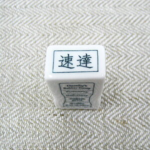 q~ӏv掺 p X^v (B)yItBXX^v  킢 dp dŎg͂ Ɩp ֗ ` tⳂɉ ͂ nR G q S XPW