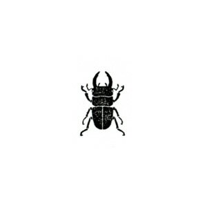 楽天市場 対象商品3点以上でメール便送料無料 アニマルスタンプ クワガタ くわがた 虫 動物スタンプ 動物はんこ かわいい動物 雑貨 グッズ メッセージカード リアル デザイン イラスト おしゃれ 可愛い はんこ スケジュール帳 手帳 判子 ゴム印 伝言メモ
