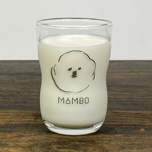 CLASKA(NXJ) DO(h[)MAMBO(}{) 悢OX MyRbv H KXRbv rVEt[[  JtF W[XOX pi  G ObY  킢zy