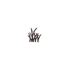 ~jX^v ynR ͂ X^v  킢  蒠 XPW[ bZ[WJ[h  fUC CXg q S `zyX^vJ[hp |