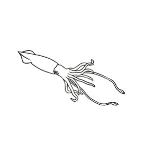 yΏۏi3_ȏŃ[֑zAj}X^v _CIECJy剤CJ ObY X^v ͂ 킢 G bZ[WJ[h A fUC CXg 