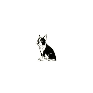 【対象商品3点以上でメール便送料無料】アニマルスタンプ イヌ A【犬 動物スタンプ 動物はんこ かわいい動物 雑貨 グッズ メッセージカード リアル デザイン イラスト おしゃれ 可愛い はん