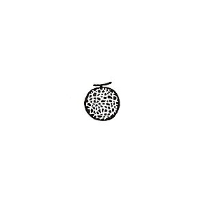 ~jX^v ynR ͂ X^v  킢  蒠 XPW[ bZ[WJ[h  fUC CXg q S ` X^vJ[hp 
