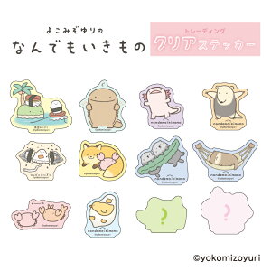 Ȃł g[fBO NAXebJ[ BOX (S10+V[Nbg2)y[J[́z