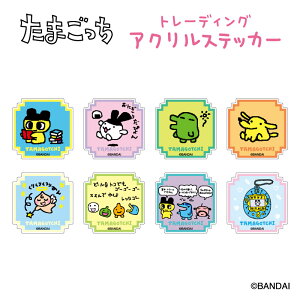 ܂ g[fBOANXebJ[ BOX (S8)y[J[́z