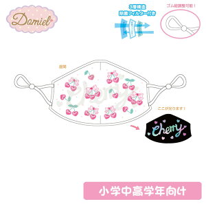 y߉\zDomiel ĎgILbY}XN `F[ wwN y[J[́z1