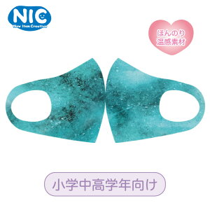 ySALEzyNICzĎgI LbY}XN  wwN ق̂艷f }XN@1