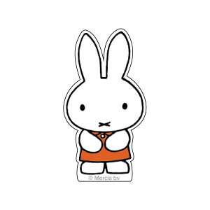 ~btB[ ANNbvX^h IWhX ObY miffy fBbNEu[i