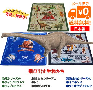 楽天市場 キャラクター商品 Arで飛び出すハンカチ 学研図鑑live オリーブファクトリー