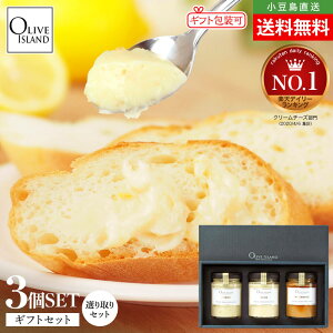 BOXMtgZbg v~AN[`[YXvbh I3yI[u//aO~/A[h e110g×3z PREMIUM CREAM CHEESE SPREAD kC`[Y  lC  I