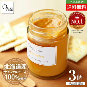v~AN[`[YXvbh aO~ 1110g Pi ܂ƂߔPREMIUM CREAM CHEESE SPREAD ʂaO~ kCYi``[Y Y XC[c َq  fU