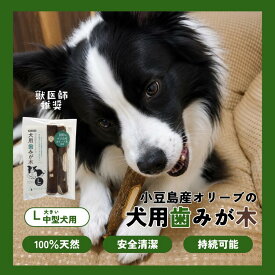 【公式】小豆島産オリーブの犬用歯みが木 歯みがき おもちゃ 有機JAS認証 無塗装 天然無垢 手作り 3サイズ SDGs サスティナブル きみとオリーブ オリーヴの森 小豆島ヘルシーランド 送料無料