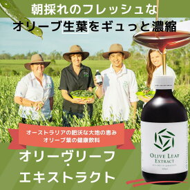 【公式】ポリフェノール 豊富な健康飲料 オリーヴリーフ・エキストラクト プレーン 500mL オレウロペイン配合 オリーブ葉抽出 オリーブ生葉 朝採れ ポリフェノール40倍 スキンケア インナービューティー ヘルシー ウエルネス オリーブの森 小豆島ヘルシーランド 送料無料