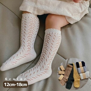 ؍ǂ \bho\bNX C ؍t@bV xr[ ؍ xr[  Ԃ  ̎q j̎q v[g oYj Rbg ݃J[ i`