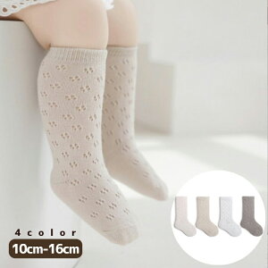 ؍ǂ x[VbN^CY\bNX C ؍t@bV xr[ ؍ xr[  Ԃ  ̎q j̎q v[g oYj Rbg ݃J[ i`