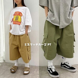 y18̓P5{z~X}b`J[S PT ؍q hXX^[