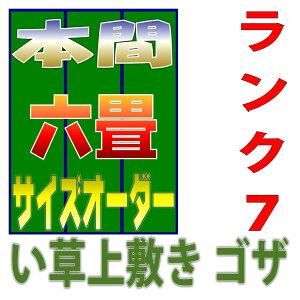 {6 ~TCYI[_[ 286cmȉ382cmȉ ~ oڐD I[_[Ch { 10iK7N̕i ܂H[