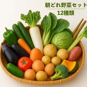 ؋lߍ킹Zbg 12ށi퉷ցj/12ށi①ցj  ؃Zbg ؋lߍ킹 lߍ킹 ₳