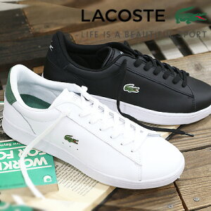 �y�����Y�z�y2024�N�H�~�V��z�y�������K�i�z LACOSTE CARNABY SET 224 1 SMA WH/DGR BLK/WH���R�X�e �X�j�[�J�[ �J�[�i�r�[ �R�[�g�V���[�Y �z���C�g �u���b�N ���U�[ 48SMA0011