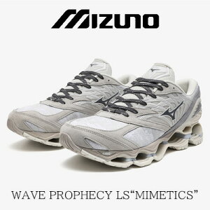 y2024NH~VzMIZUNO WAVE PROPHECY LS D1GA2454 (01 LIGHT GRAY×BLACK×GRAY)~Ym EG[uvtFV[LS CgO[ ubN O[ jZbNX