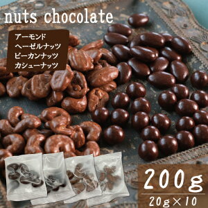 ナッツチョコ ナッツ専門店のナッツ使用!サイズ色々 ヘーゼルナッツ ピーカンナッツ アーモンド カシューナッツ チョコミックス 小袋 100g 200g 720gの大容量も 個包装で便利 素焼きナッツ