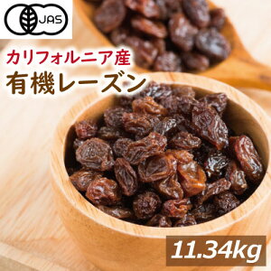 yL@JASzI[KjbN[Y 11.34kg Y [ Ɩp mIC L@[Y hCt[c I[KjbNFi Asgp L@ ͔| Y _(w_sgp) ق