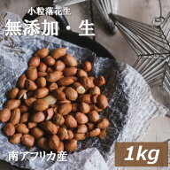 楽天ランキング受賞 おつまみ ナッツ 小粒落花生(生)(南アフリカ産) 1kg らっかせい ぴーなっつ なま 殻…