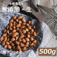 送料無料 小粒落花生(生)(南アフリカ産) 500g ゆうパケット らっかせい ぴーなっつ なま 殻なし 薄皮付き…