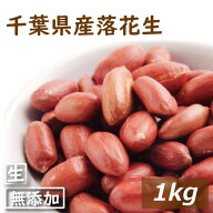 楽天ランキング受賞 千葉県産 落花生 生 1kg （500g×2） 千葉産 早生品種 ナカテユタカ 乾燥 なま 南京…
