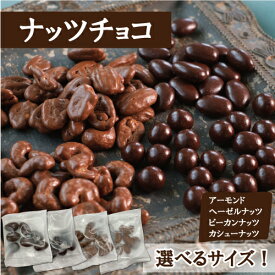 ナッツチョコ ナッツ専門店のナッツ使用！ サイズ色々 ヘーゼルナッツ ピーカンナッツ アーモンド カシューナッツ チョコミックス ナッツ 小分け 送料無料 小袋 100g 200g 720gの大容量も ナッツ 小分け 個包装 高級 自分用 ご褒美 楽天ランキング受賞