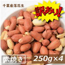 楽天ランキング受賞 【訳あり】千葉産落花生（ナカテ）素焼き 1kg (250gx4) 千葉産 無塩無植物油 南京豆 殻なし 薄皮付き むき実 おやつ おつまみ 家呑み 製菓材料 豆料理 ピーナッツ味噌 健康 お徳用 業務用 1kg ミックスナッツ 無塩 素焼き