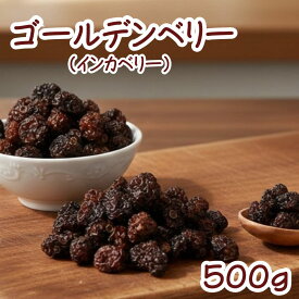 ゴールデンベリー（インカベリー）500g コロンビア産 保存剤無添加 ドライフルーツ 食用ほおずき ゴールデンベリー スーパーフード おやつ おつまみ 保存食 美容 健康 お徳用 業務用 チャック袋入り グルメ みのや 楽天ランキング受賞