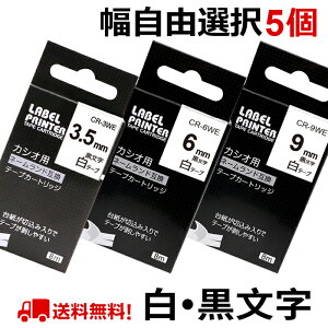 |Cg10{! Iׂ5 JVI l[h e[v J[gbW ݊ 9mm 6mm 3.5mm t[`CX RI JVI CASIO xC^[ i-ma KL-SP10-PN KL-SP10-SA KL-SP100-MM KL-P40-BU KL-M7CA 