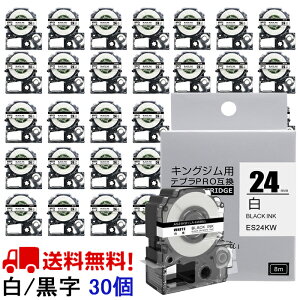 yP10{zev e[v 24mm e[v [S] SS24KW ݊ 30 8m LOW uevvPRO X}zev xv^[ SR-MK1 SR-R2500P SR5900P SR530 SR550 SR720 SR750 SR920 SR970 SR930 SR950 SR3900P