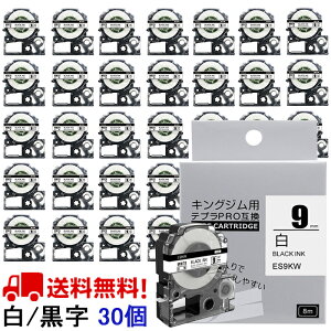 |Cg10{! ev e[v 9mm e[v [S] SS9KW ݊ 30 8m LOW xC^[ { SR170 SR-R2500P SR-MK1 SR5500P SR5900P SR-R7900P SR-R680 SR750 SR530 SR370 SR45 SR-GL2 SR-GL1 