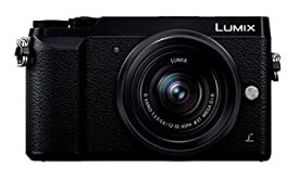 【中古】パナソニック ミラーレス一眼カメラ ルミックス GX7MK2 標準ズームレンズキット ブラック DMC-GX7MK2KK